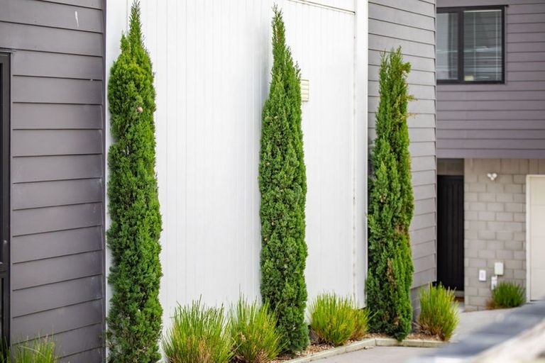 Photo of property in 1/20 Marama Street, Frankton, Hamilton, 3204