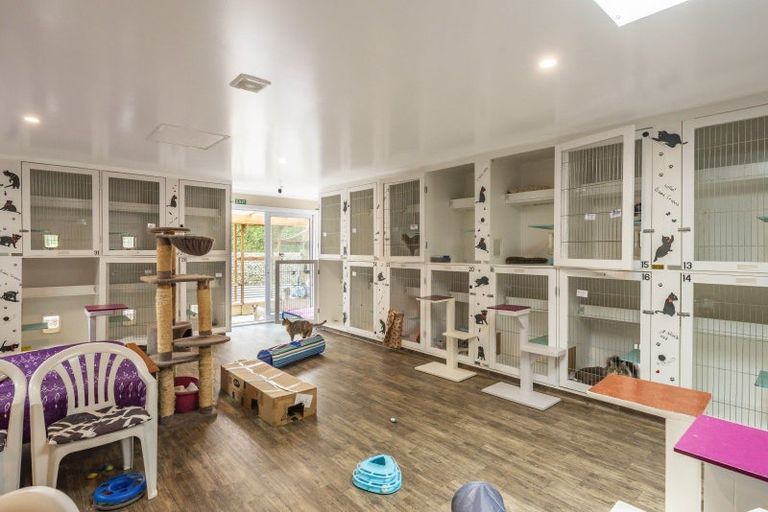 Photo of property in 222 Main Road South, Raumati South, Paraparaumu, 5032