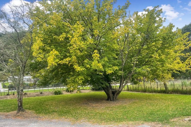 Photo of property in 55 Dryden Street, Whataupoko, Gisborne, 4010