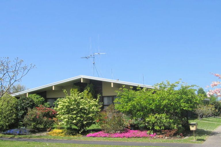 Photo of property in 33 Deanna Avenue, Morrinsville, 3300