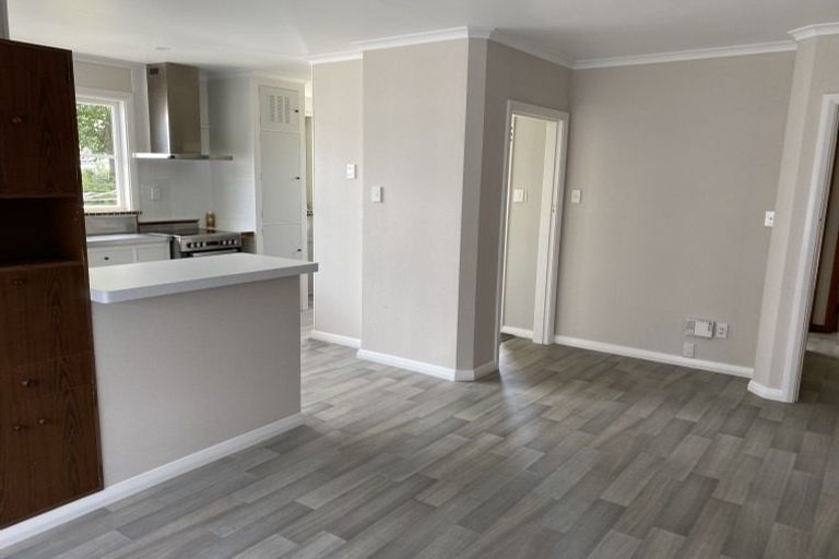 Photo of property in 54 Guy Avenue, Takaro, Palmerston North, 4410