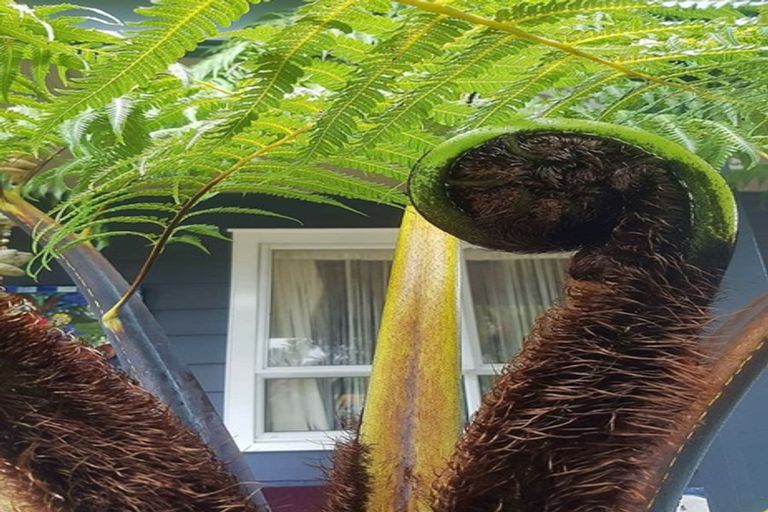 Photo of property in 23 Wenlock Street, Waihi, 3610