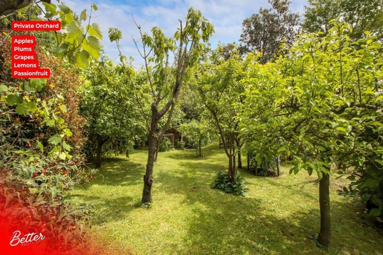 Photo of property in 10 Richmal Street, Waihi, 3610