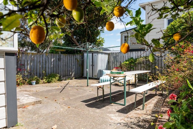 Photo of property in 17 Horner Street, Newtown, Wellington, 6021