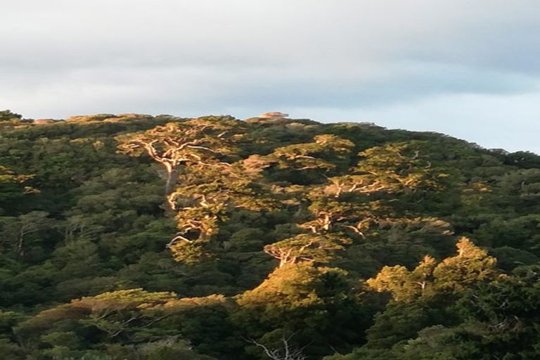 Photo of property in 46 Power Road, Karoro, Greymouth, 7805