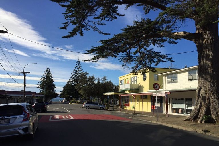 Photo of property in 19a Mantell Street, Seatoun, Wellington, 6022