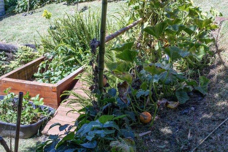 Photo of property in 38 Main Road, Raglan, 3225