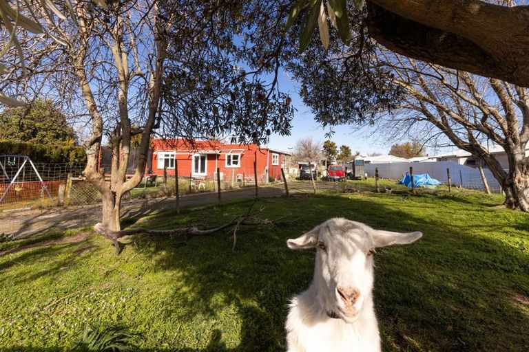 Photo of property in 4 March Street, Spring Creek, 7202