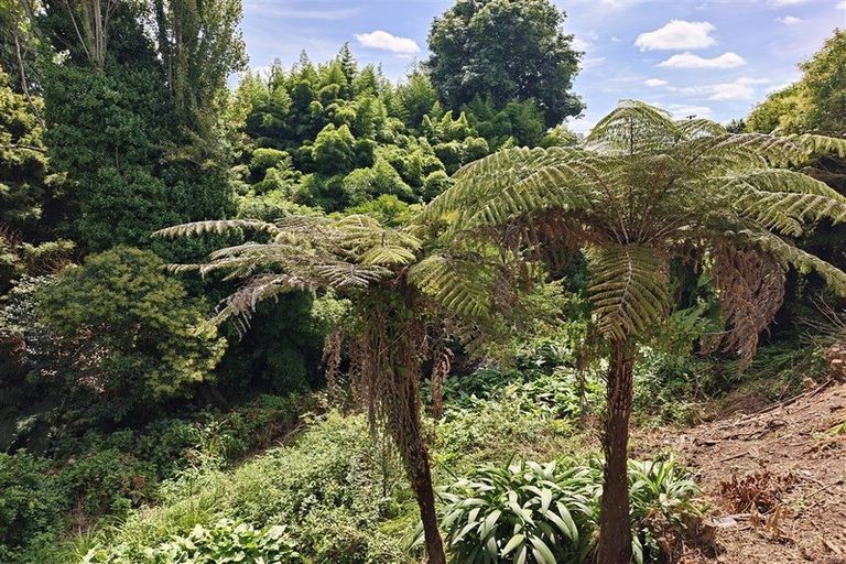 Photo of property in 10 Marne Street, Claudelands, Hamilton, 3214