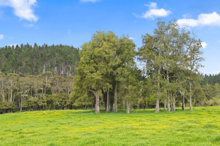 Photo of property in 36g Farquharson Road, Hunua, Papakura, 2583