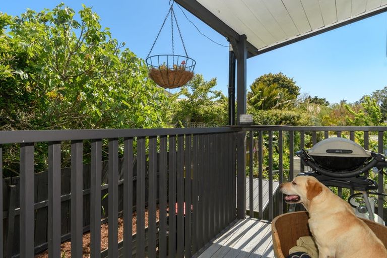 Photo of property in 13 Waimapu Street, Greerton, Tauranga, 3112