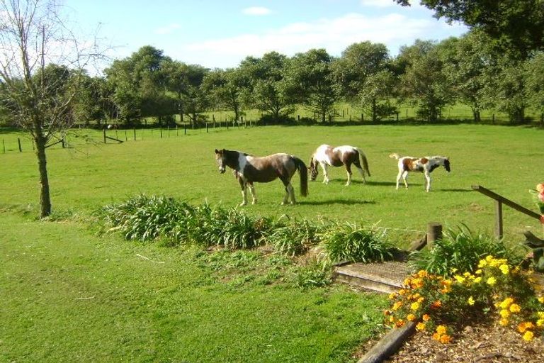 Photo of property in 341a Matauri Bay Road, Kaeo, 0478