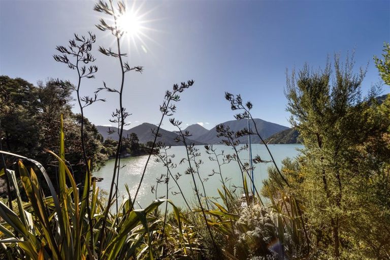 Photo of property in 577 Queen Charlotte Drive, Havelock, Picton, 7281