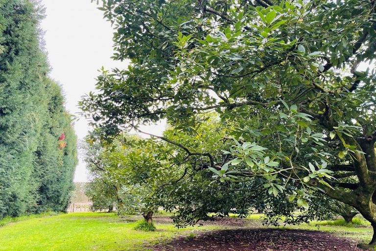 Photo of property in 330 No 2 Road, Te Puke, 3182