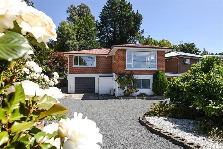 Photo of property in 13 Flower Street, Fairfield, Dunedin, 9018