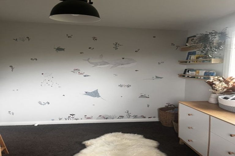 Photo of property in 53a Oregon Street, Ocean Grove, Dunedin, 9013