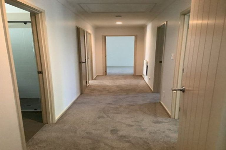 Photo of property in 52 Potter Road, Dairy Flat, Albany, 0792