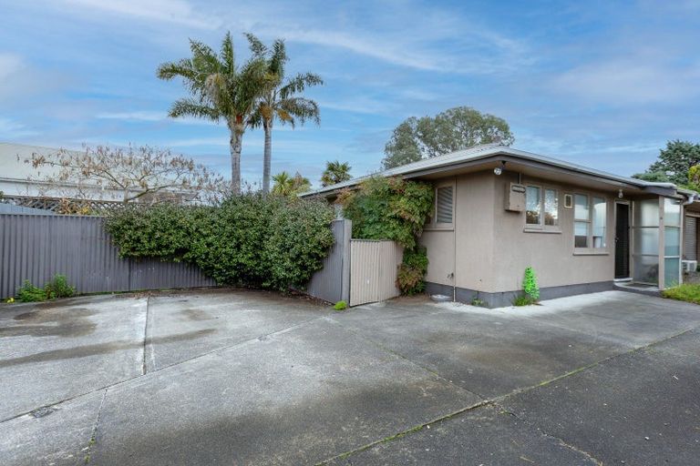 Photo of property in 51a Mcgrath Street, Napier South, Napier, 4110