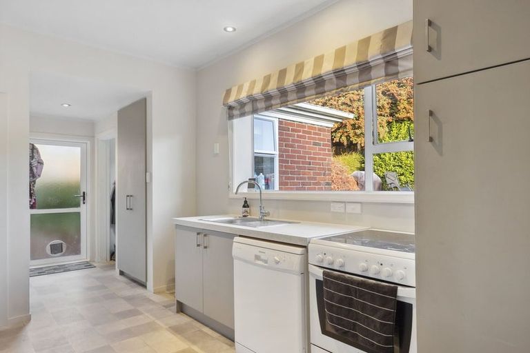 Photo of property in 26 Mayfield Avenue, Wakari, Dunedin, 9010