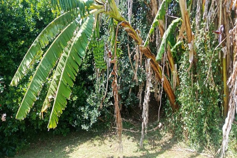 Photo of property in 20 Crawford Crescent, Te Kamo, Whangarei, 0112