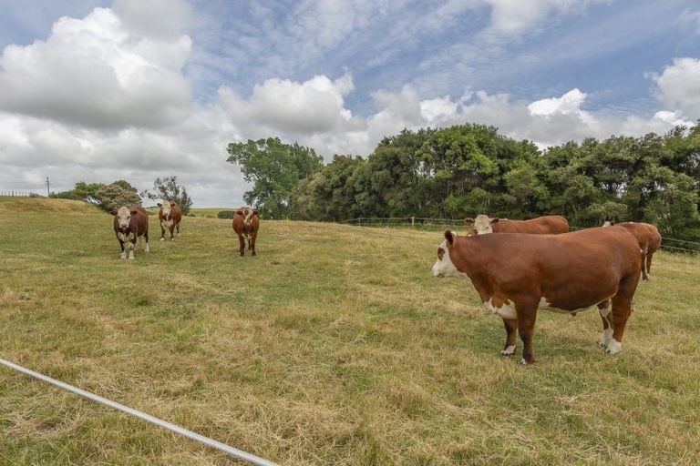 Photo of property in 1358 Makirikiri Road, Turakina, Marton, 4789