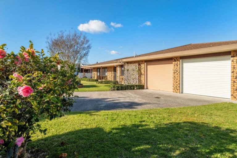Photo of property in 3 Aylesbury Terrace, Otumoetai, Tauranga, 3110