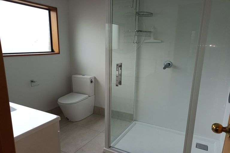 Photo of property in 155a Lake Crescent, Hamilton Lake, Hamilton, 3204