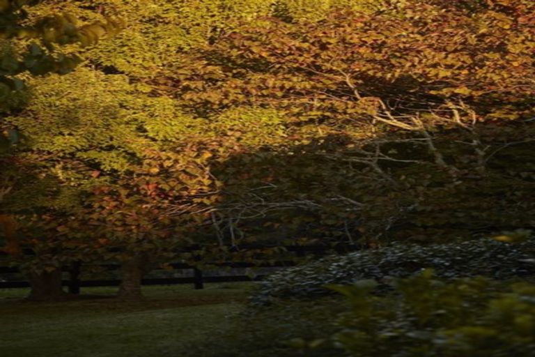 Photo of property in 165 Three Oaks Drive, Dairy Flat, Albany, 0794