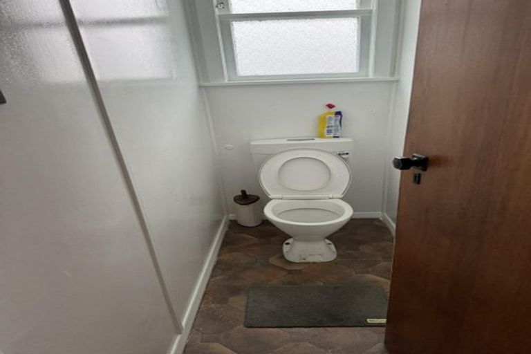 Photo of property in 53 Winchester Street, Levin, 5510