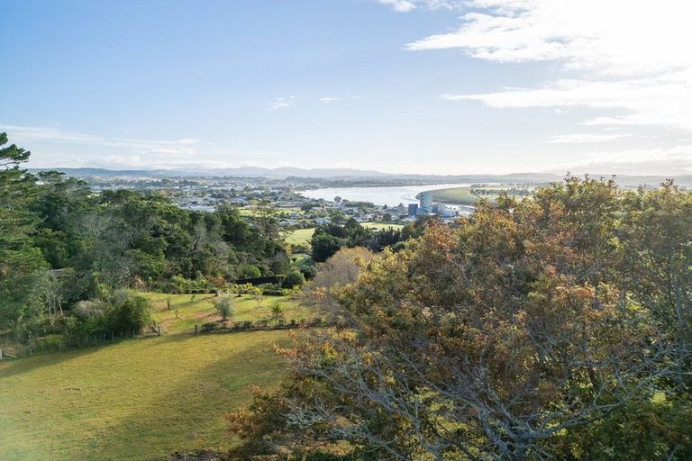 Photo of property in 106 Old Golf Course Road, Dargaville, 0371