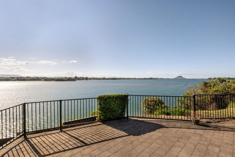 Photo of property in 292a Maungatapu Road, Maungatapu, Tauranga, 3112