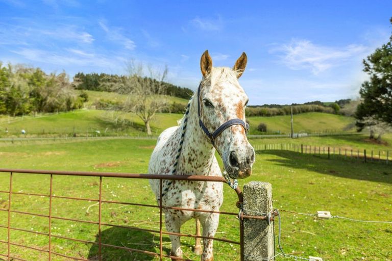 Photo of property in 83a Odey Road, Whakamarama, 3179