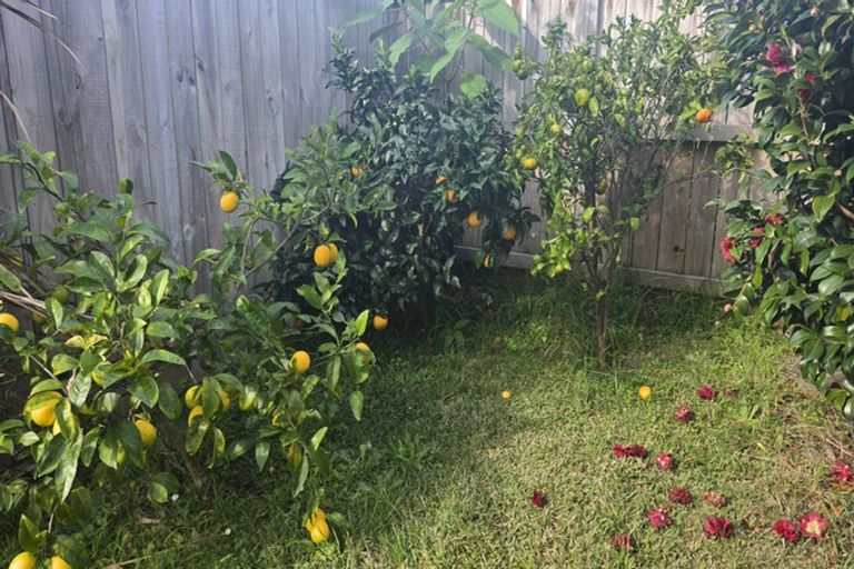Photo of property in 30 Galaxy Drive, Mairangi Bay, Auckland, 0630