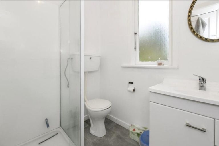 Photo of property in 14 Duddingstone Steps, North East Valley, Dunedin, 9010