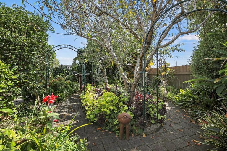 Photo of property in 116 Mackay Street, Thames, 3500