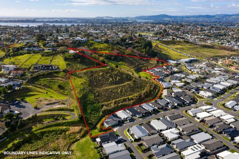 Photo of property in 44 Saint Pauls Drive, Brookfield, Tauranga, 3110