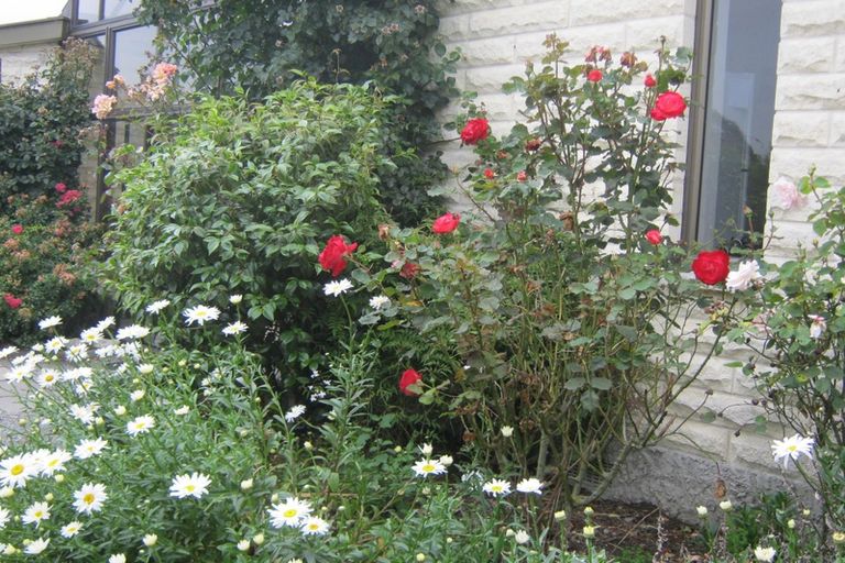 Photo of property in 5 Hillview Place, Pleasant Point, 7903