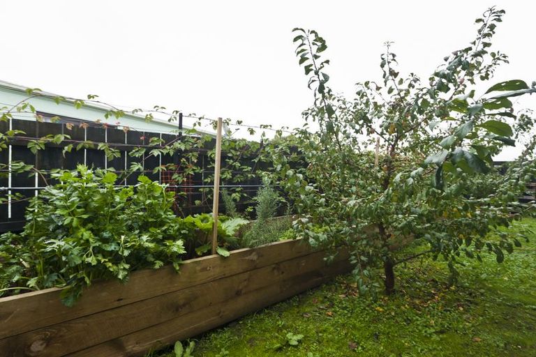 Photo of property in 24 Vinegar Hill Road, Tikipunga, Whangarei, 0112