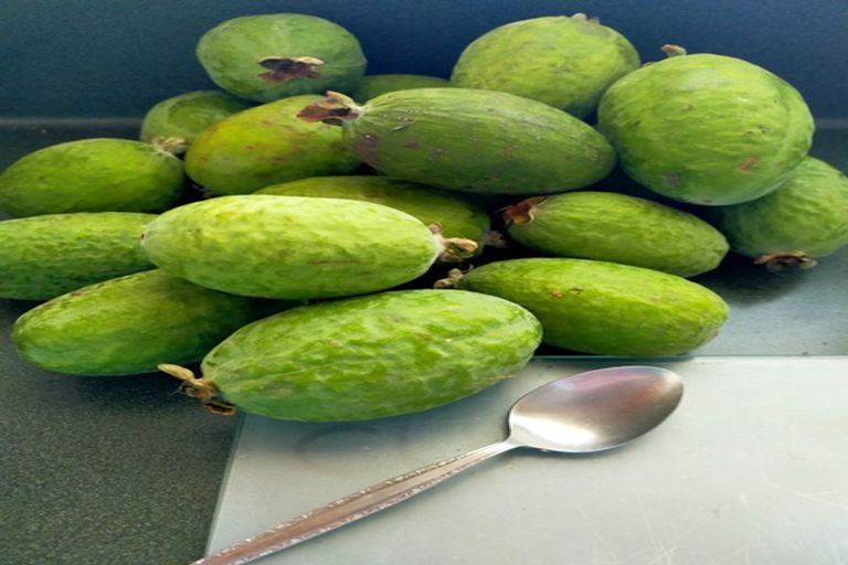 Photo of property in 17 Karaka Crescent, Levin, 5510