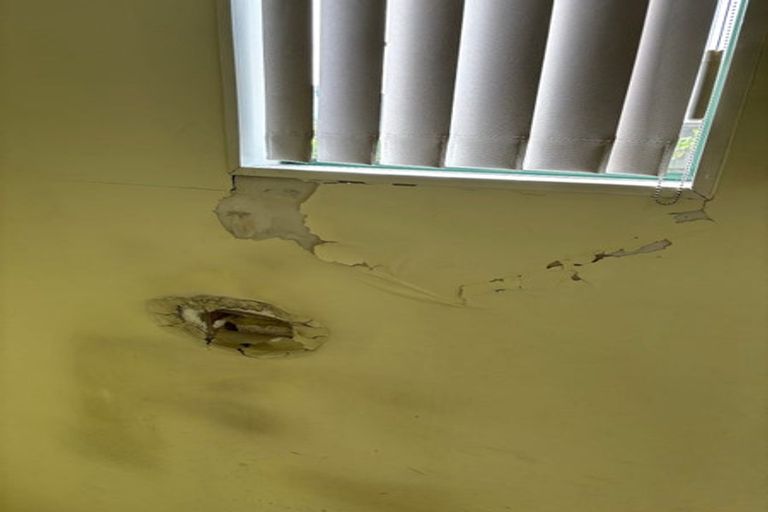 Photo of property in 59c Astley Avenue, New Lynn, Auckland, 0600