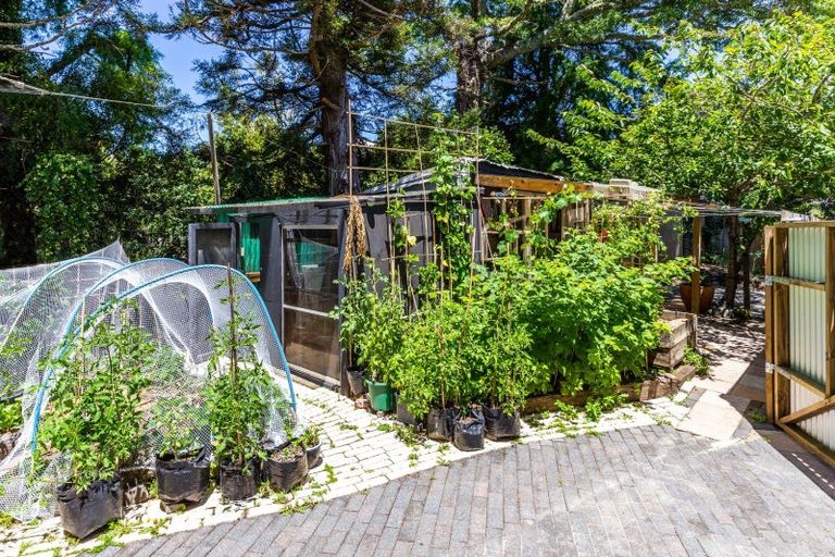 Photo of property in 405 Matariki Street, Tokaanu, Turangi, 3381