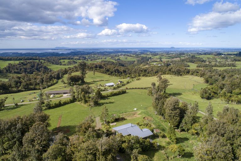 Photo of property in 1039a Work Road, Whakamarama, Katikati, 3181