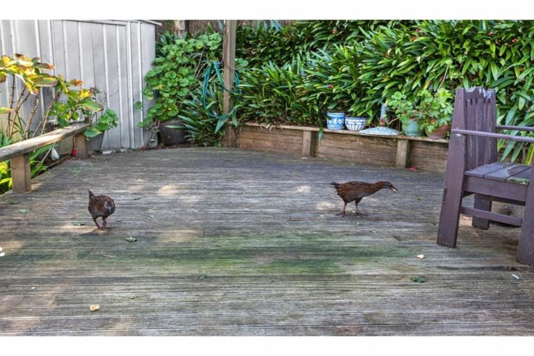 Photo of property in 3 Kuaka Lane, Waiotahe, Opotiki, 3198