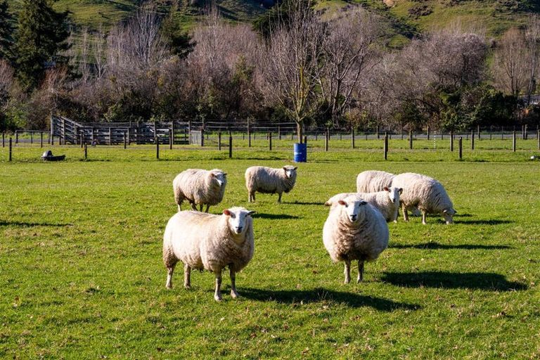 Photo of property in 89 Hillwood Drive, Wakapuaka, Nelson, 7071