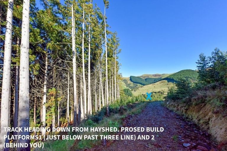 Photo of property in 90 Bachelors Road, Little River, 7591