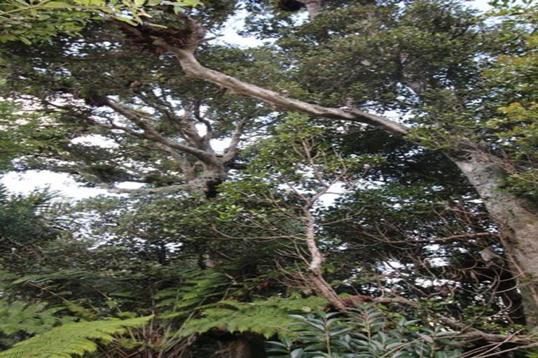 Photo of property in 2567 Rings Road, Coromandel, 3506