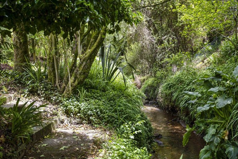 Photo of property in 14 Tainui Terrace, Inglewood, 4330