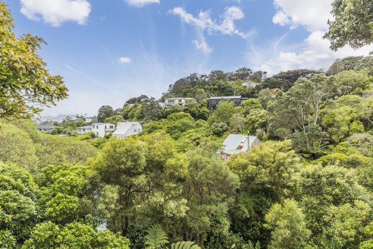 Photo of property in 58 Clarence Street, Brooklyn, Wellington, 6021