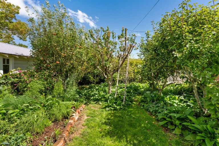 Photo of property in 21 White Street, Whanganui East, Whanganui, 4500