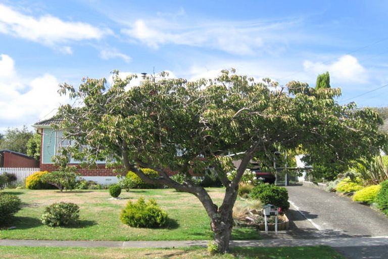 Photo of property in 39 Mary Crescent, Elderslea, Upper Hutt, 5018